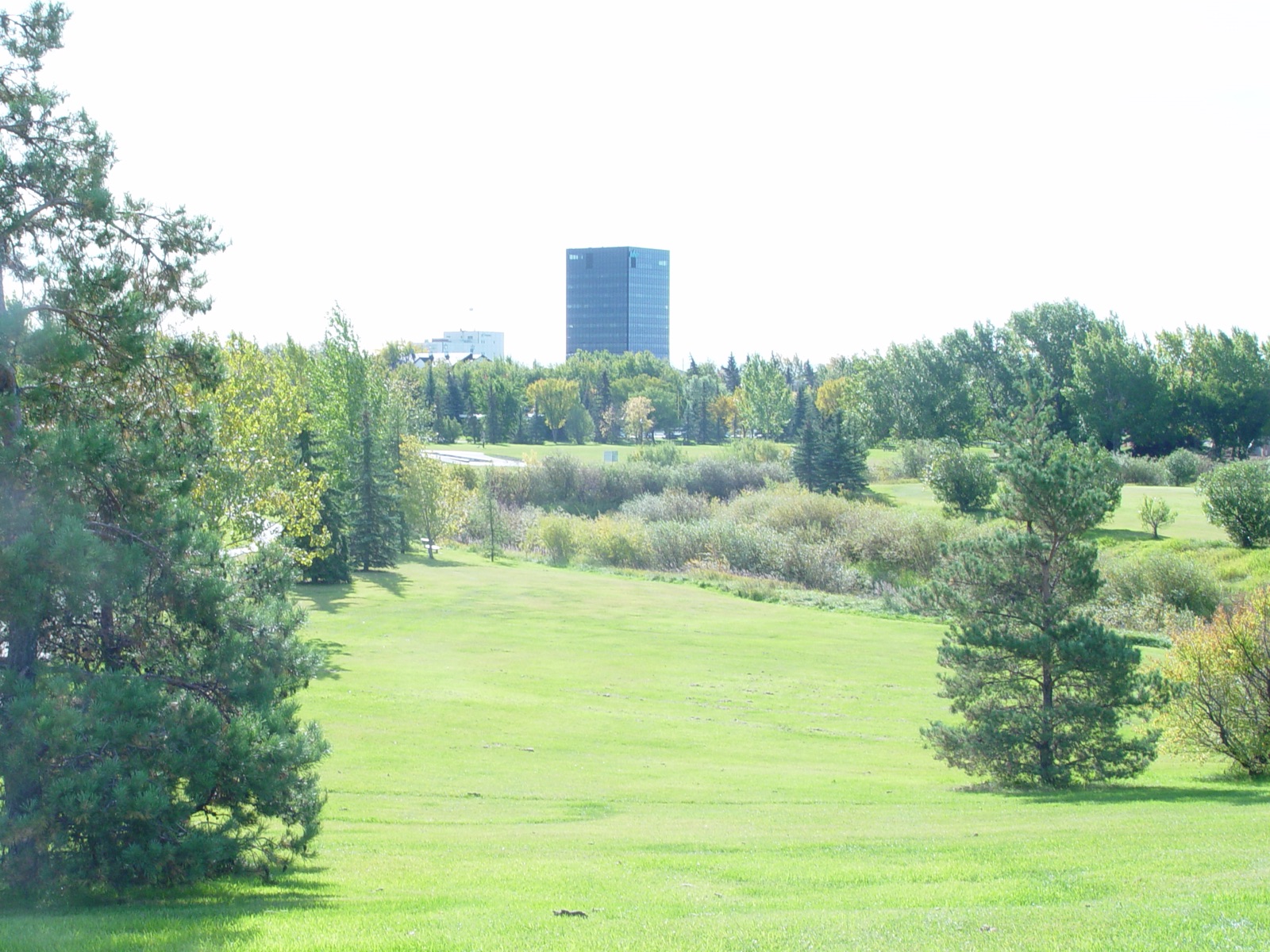 Downtown Grande Prairie from Muskoseepi Park — Bear Creek corridor view
