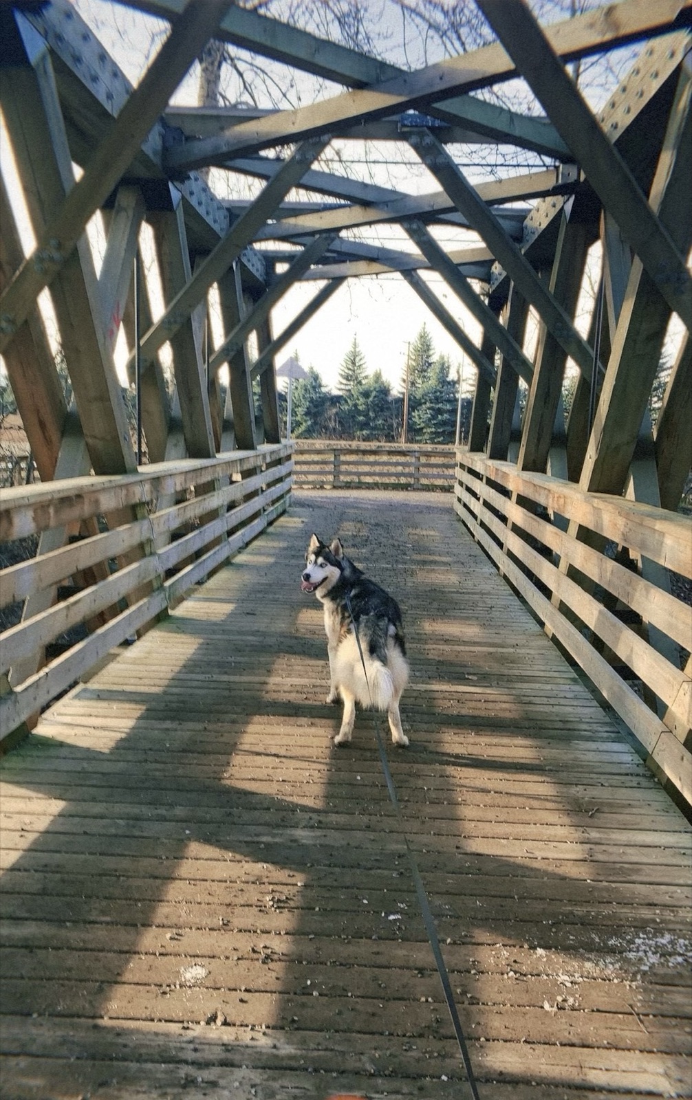 Cottonwood Island Park along the Fraser River in Prince George, BC