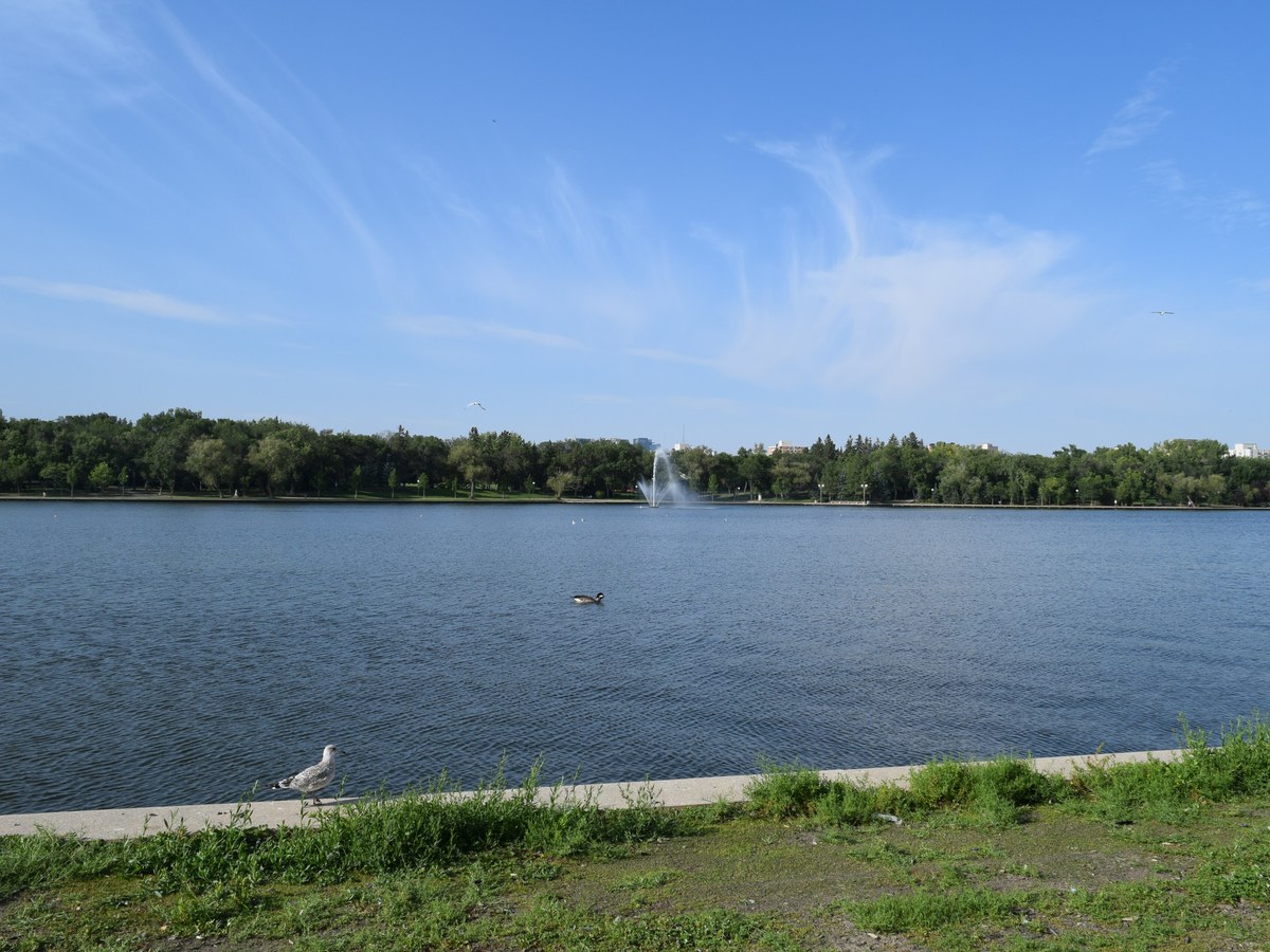Lakeview around Wascana Lake — University of Regina campus and Hill Avenue corridor