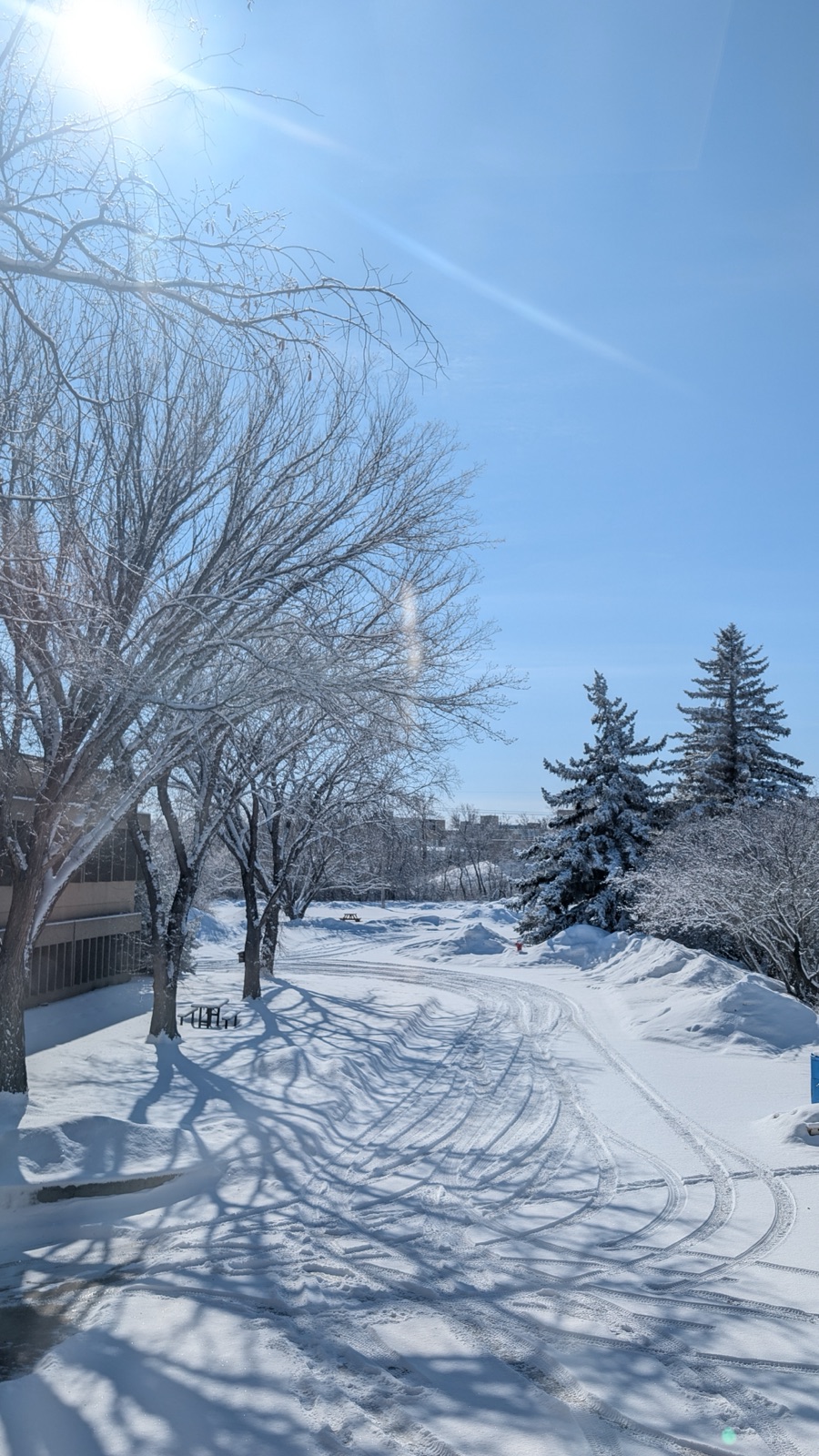 University of Saskatchewan campus quad and historic stone buildings in Saskatoon