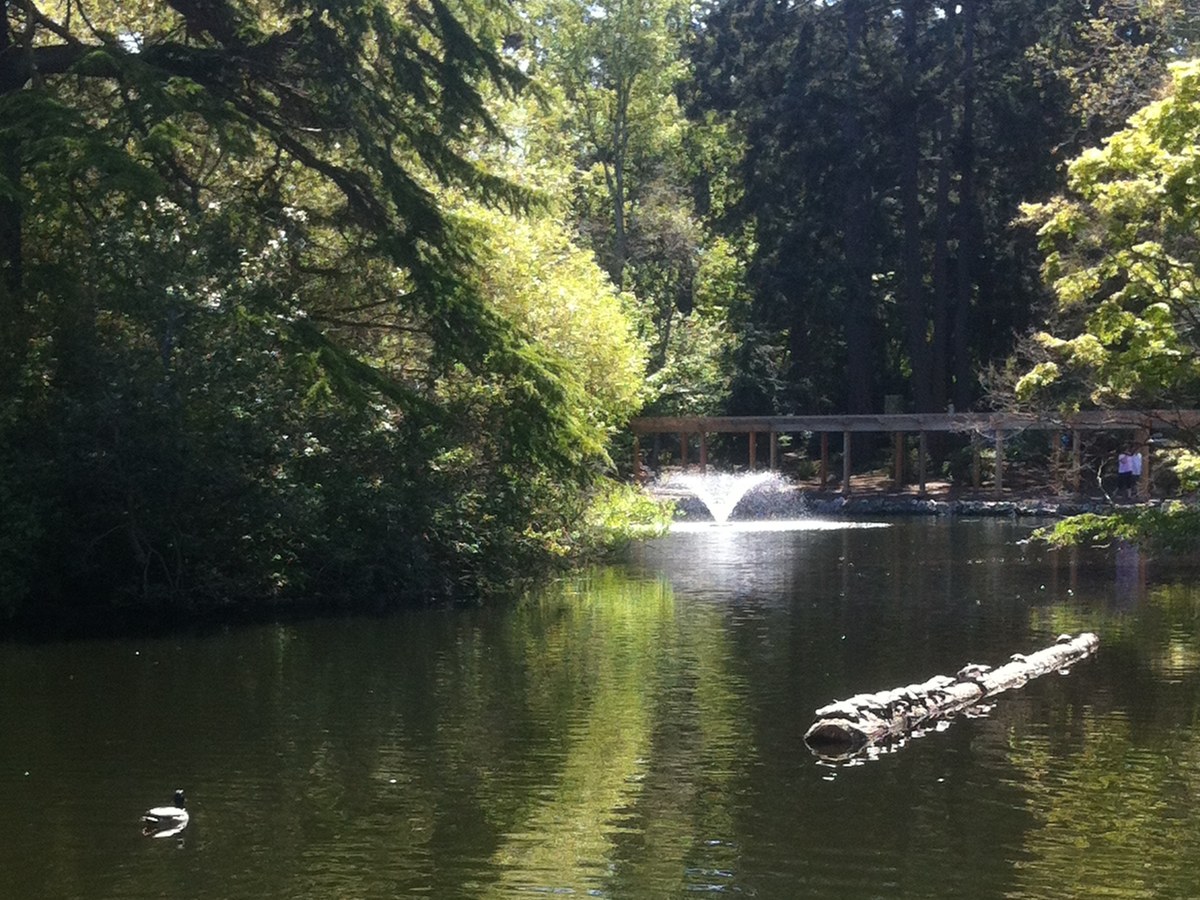 James Bay Victoria — historic residential blocks behind the BC Legislature and Beacon Hill Park